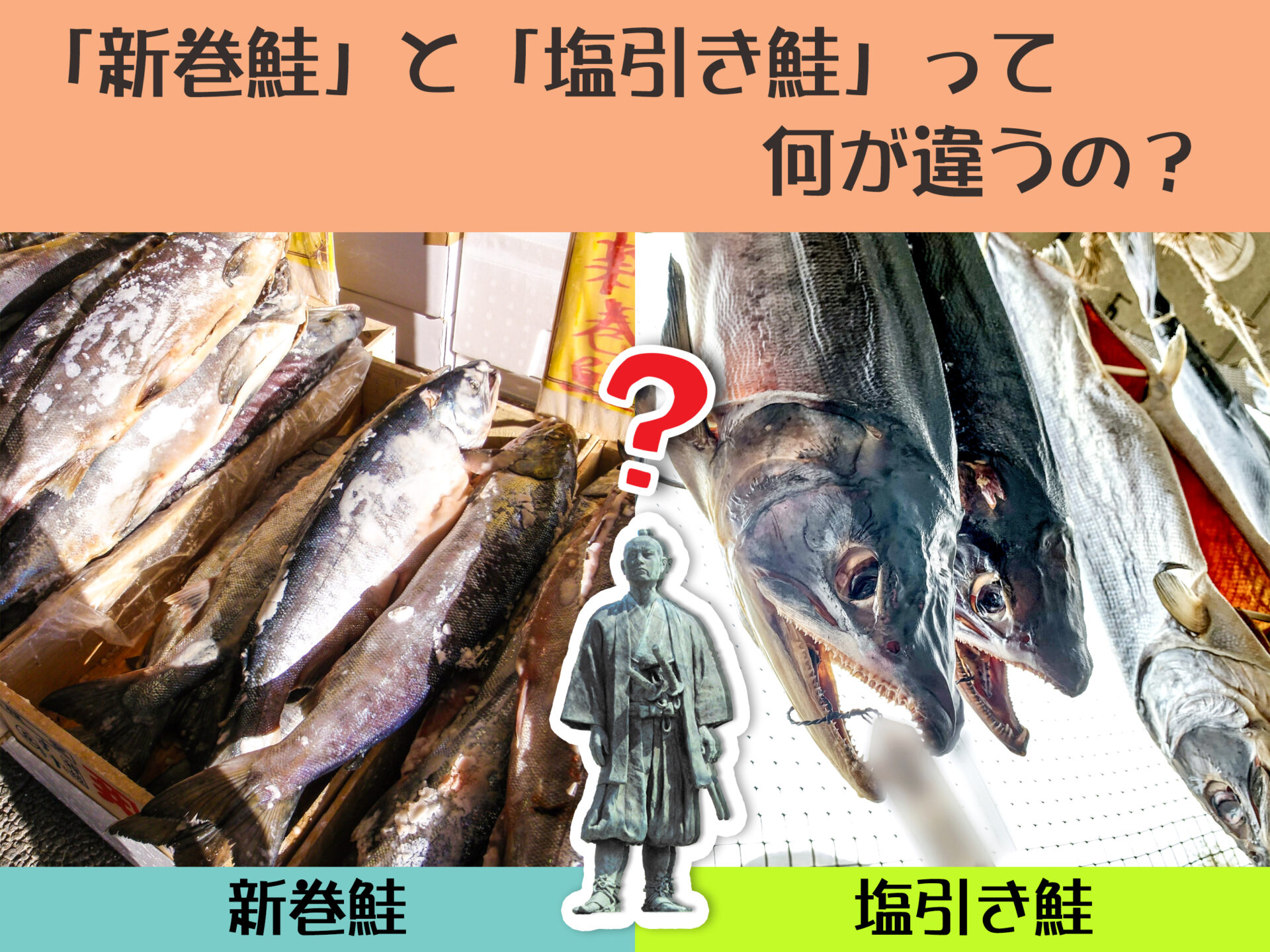 新巻鮭」と「塩引き鮭」って何が違うの？ | イヨボヤ会館 - 日本で最初の鮭の博物館
